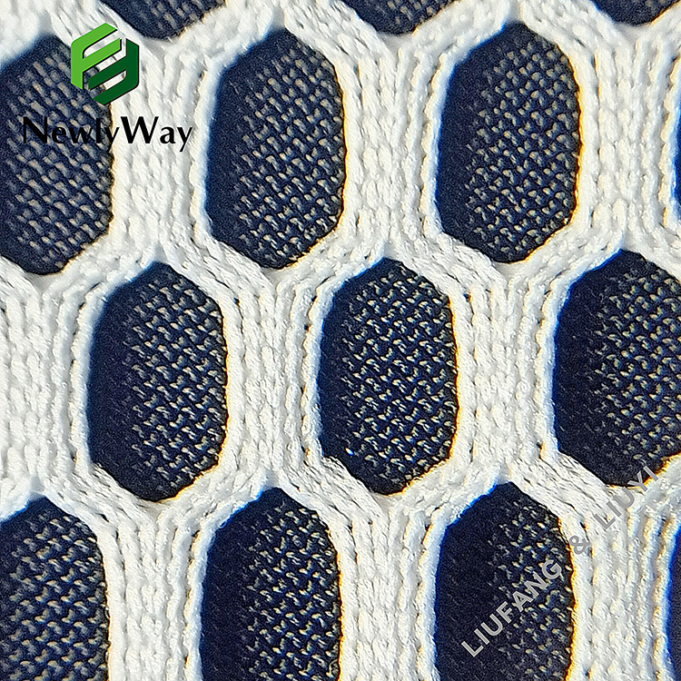 I-Wholesale 75D polyester fiber warp knitted mesh Indwangu yezinto eziyinhlanganisela-9